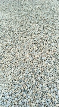 潮州天然鹅卵石鹅卵石虑料粒径规格供应价格