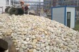 韶关鹅卵石5-8cm大型鹅卵石草坪点缀生产厂家