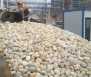 盘锦鹅卵石5-8cm污水处理鹅卵石滤料出厂价格
