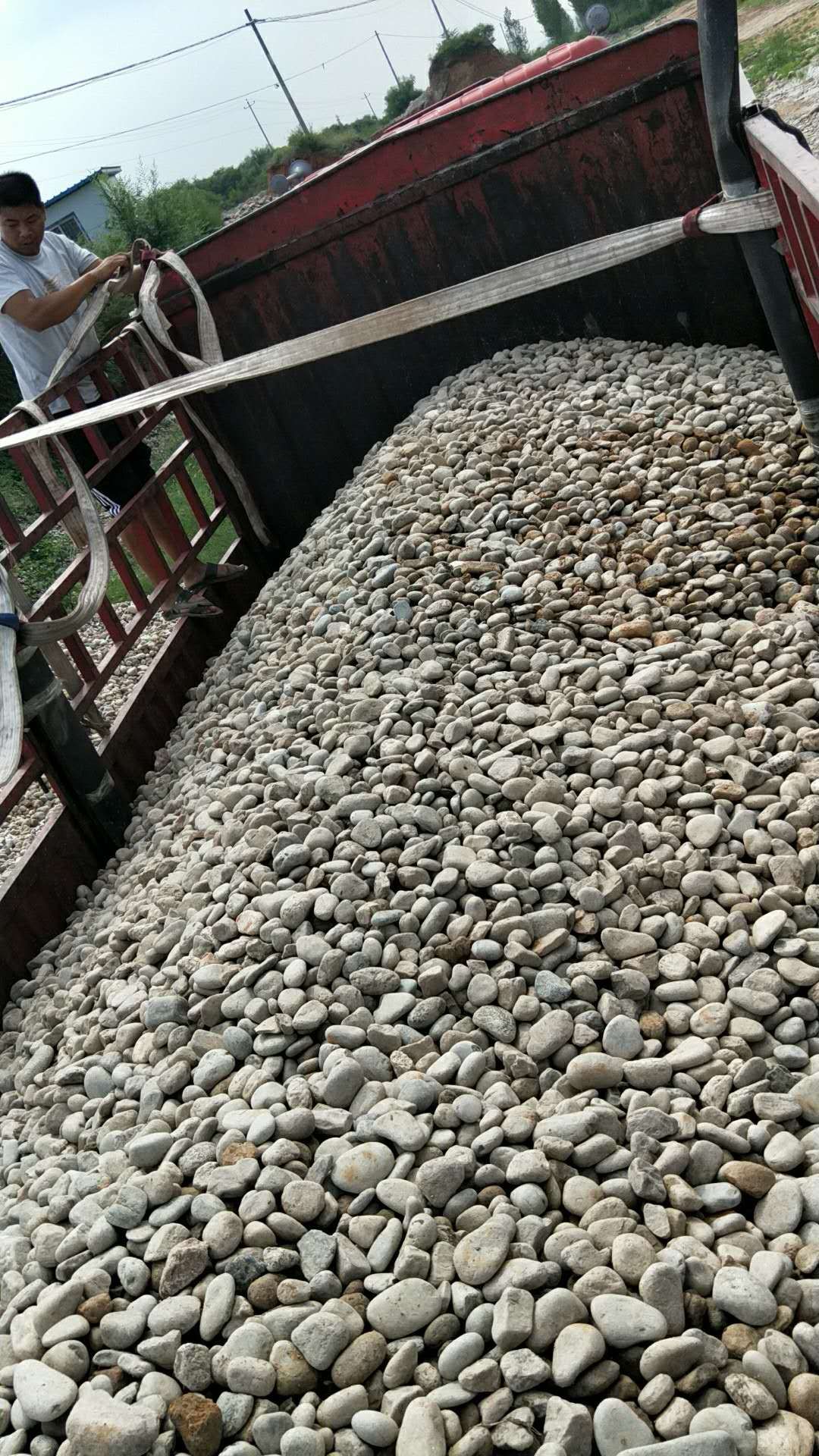 东莞鹅卵石5-8cm水处理鹅卵石用途