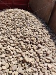 榆林市天然鹅卵石鹅卵石虑料粒径规格品种/销售图片1