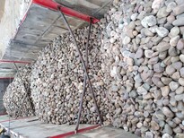 榆林市天然鹅卵石鹅卵石虑料粒径规格品种/销售图片5