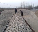 望江縣鵝卵石濾料人工水系鋪設鵝卵石地區加盟商圖片