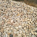祁门县5-8cm鹅卵石天然鹅卵石用途图片4
