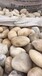 肥西县5-8cm鹅卵石变压器米黄色鹅卵石供应价格