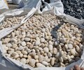 蚌埠5-8cm鵝卵石米黃色鵝卵石電力部門專用卵石開采基地