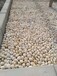南平5-8cm鹅卵石米黄色鹅卵石变压器滤油池鹅卵石公司地址