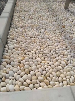 杭州5-8cm鹅卵石米黄色鹅卵石电力部门卵石生产厂家