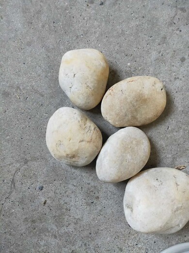 阜南县5-8cm鹅卵石米黄色鹅卵石变压器滤油池鹅卵石产地