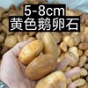 江西5-8cm鵝卵石米黃色鵝卵石電力部門專用卵石品種/銷售