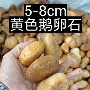 太和县5-8cm鹅卵石米黄色鹅卵石变压器滤油池鹅卵石价格