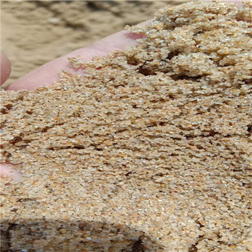 荆门水处理水洗海砂(海沙)石英砂（猛砂）滤料品种/销售