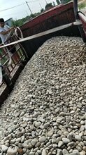 娄底鹅卵石滤料大型鹅卵石草坪点缀/水处理鹅卵石滤料供应商图片