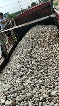 宁国鹅卵石滤料净水处理鹅卵石垫层/水处理鹅卵石滤料批发