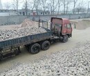 惠州鹅卵石滤料化工厂鹅卵石/鹅卵石滤料厂家批发图片