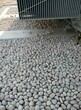 深圳鵝卵石濾料人工水系鋪設鵝卵石/水處理鵝卵石濾料批發圖片