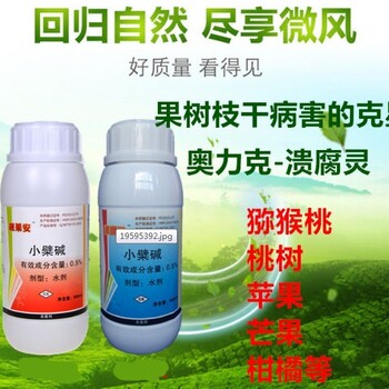 櫻桃根腐死樹什么原因？有沒有辦法早防?。?>
                        </div>
                        <div   class=