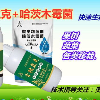 中藥材黃精主要病蟲害防治辦法