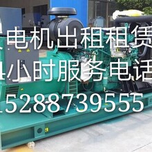 商河发电机出租租赁济南发电机出租价格