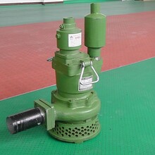 FWQ30-50/K型风动潜水泵结构特点，批发价格更优惠图片