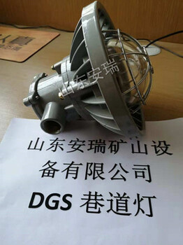 DGS2×10/127L(A)防爆型矿用巷道灯工作原理