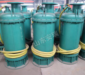 BQS80-160/2-75/N矿用排污排沙潜水泵直销厂家