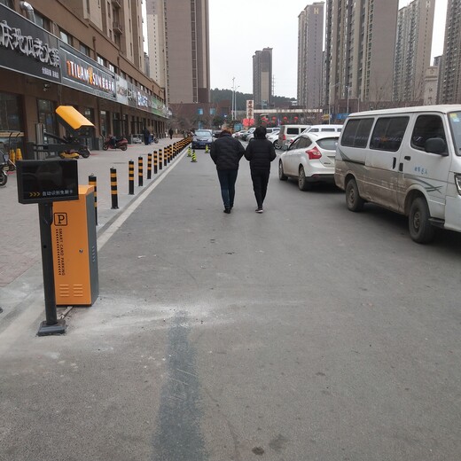 德城區(qū)車輛識別上門安裝