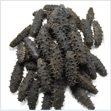 廠家生產(chǎn)海參隧道速凍機(jī)海鮮單凍機(jī)節(jié)能