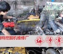 仪陇县现代挖掘机维修公司地址(故障咨询)