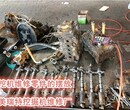 永顺县开个挖机维修厂需要多少资金