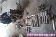 湘乡市卡特挖掘机维修修理西南厂家