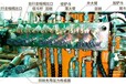 宁陕县沃尔沃350挖掘机分配器维修报价咨询-龙胜各族自治县