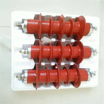 低压氧化锌避雷器HY1.5W-0.28/1.3