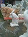 仙鹤石雕塑，公园石雕仙鹤，西藏石雕厂家
