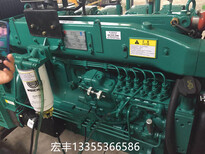 250千瓦电调发动机潍柴动力蓝擎柴油机型号WP10D264E200图片1