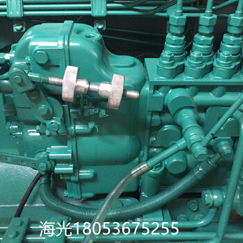 潍柴200千瓦动力发电机组WP10D264E200电机电调泵