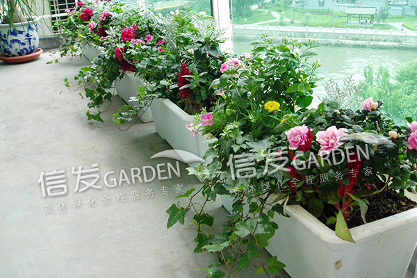 窗台阳台绿化花盆种花种菜储水排水经久耐用