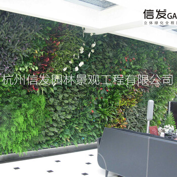 植物墙绿墙墙体绿化垂直绿化工程施工墙面绿化施工墙面绿化