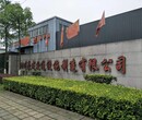 绿色装饰围栏网A都江堰绿色装饰围栏网A绿色装饰围栏网生产厂家批发直售图片