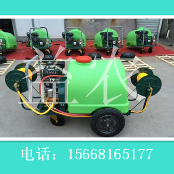 輕便背負(fù)式打藥機(jī)麥子地滅蟲噴霧器新型打藥機(jī)
