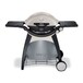 WEBER	热金属检测器	1342.43VL100ViewAngle1×7°650°C带10米电缆