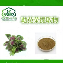 勒苋菜提取物勒苋菜粉勒苋菜速溶粉勒苋菜浸膏粉勒苋菜原粉