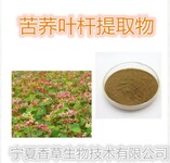 苦荞叶杆提取物苦荞叶粉苦荞叶杆粉苦荞叶杆浸膏苦荞叶提取物