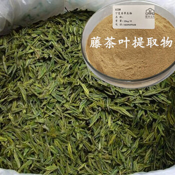 藤茶提取物茅岩莓茶粉150目藤茶浓缩液生产商