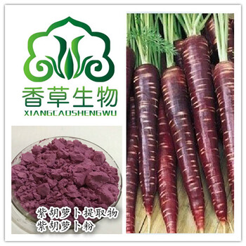 紫胡萝卜提取物供应紫胡萝卜汁粉100目紫胡萝卜花青素25%