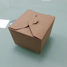 东莞力川淋膜纸打包盒1000毫升现货批发图片