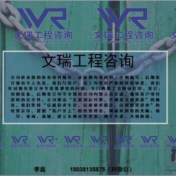 聊城新能源汽车科技产业园项目/申报参考大纲聊城-分析报告-聊城