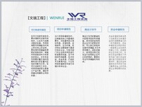 平顶山扶贫光伏项目可行性报告-范文图片0