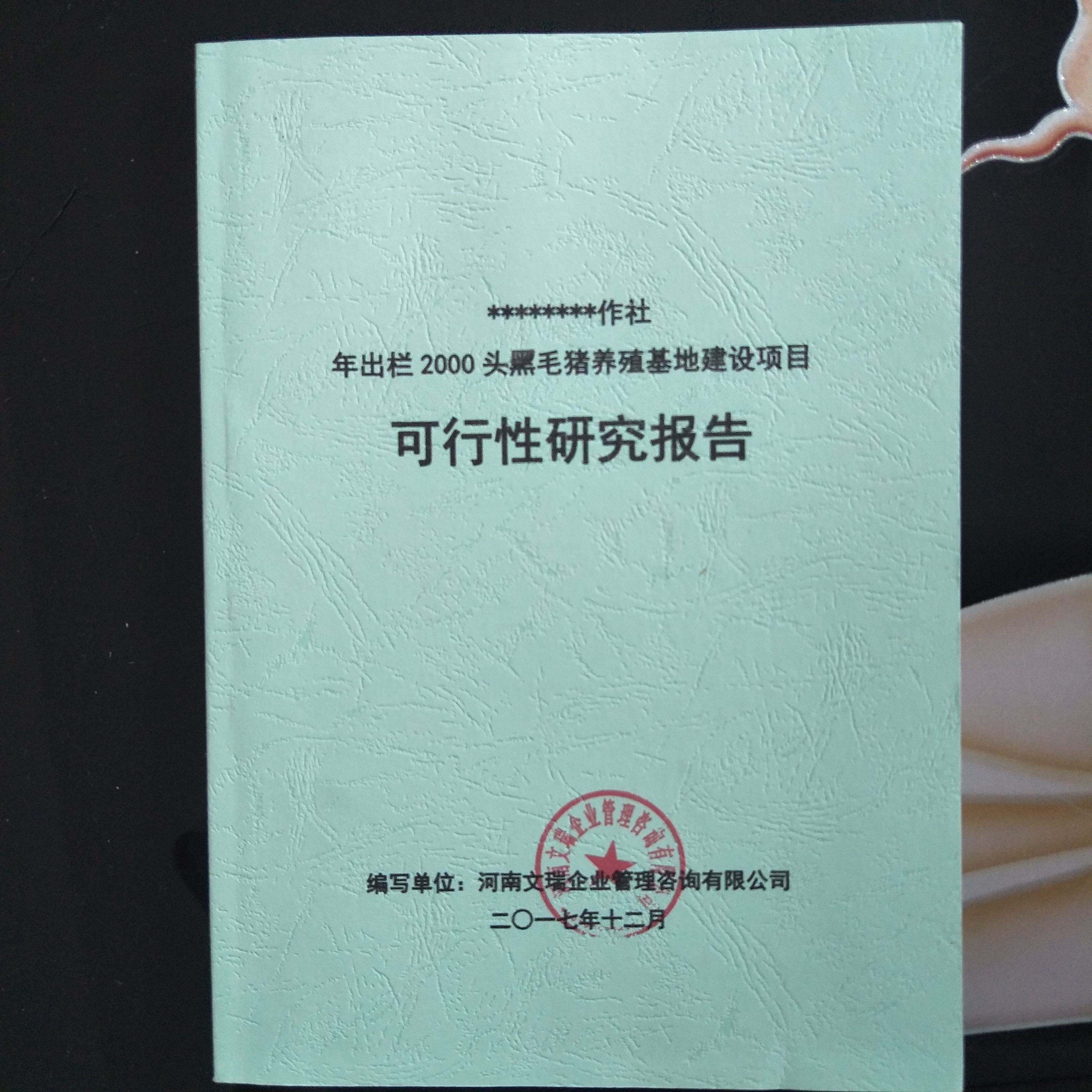 汉源县写可行性报告-写的可行性报告范文-写报告-汉源县