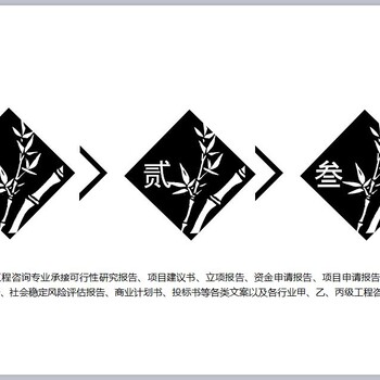 广东深圳项目申请书可行性报告-合作流程